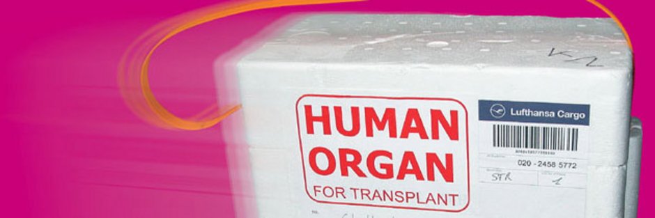 Transportbox für ein Organ