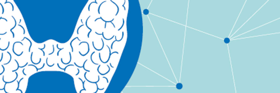 Logo Zentrum für Schilddrüsenkarzinome